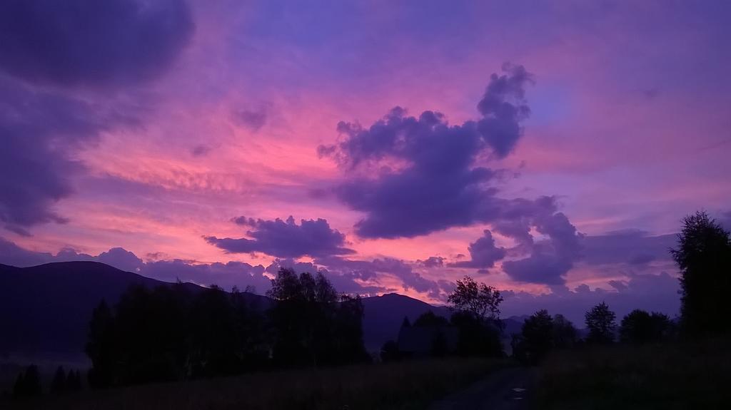 فندق تشيسنافي  Magiczne Bieszczady - Smerek 86 المظهر الخارجي الصورة