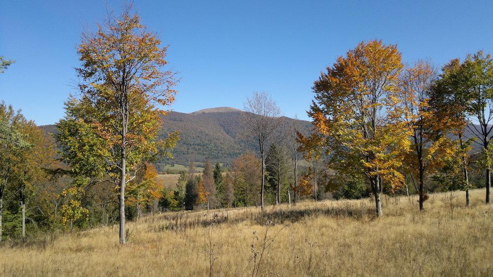 فندق تشيسنافي  Magiczne Bieszczady - Smerek 86 المظهر الخارجي الصورة